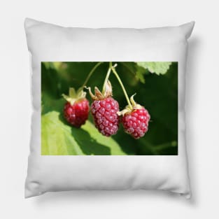 Loganberry Pillow