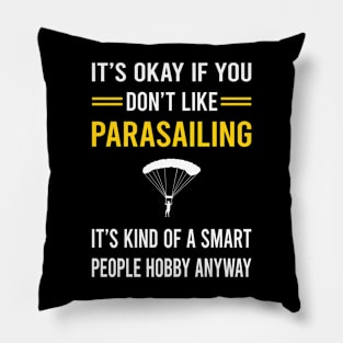 Smart People Hobby Parasailing Parascending Parakiting Paraskiing Pillow