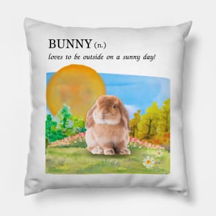 Bunny on a sunny day Pillow