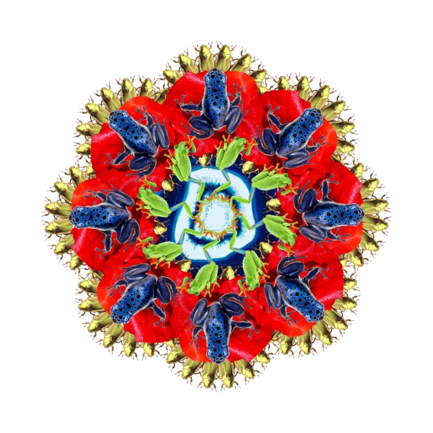 Blue frogs on the poppy Mandala by burenkaUA