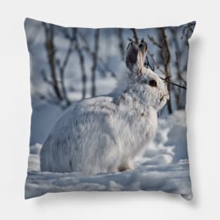 Snow Shoe Hare Pillow