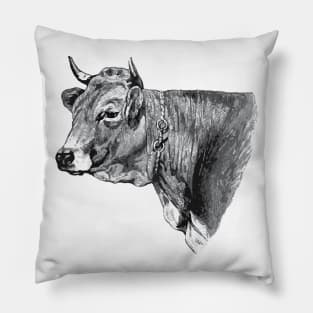 Cow head Vintage Picture Pillow