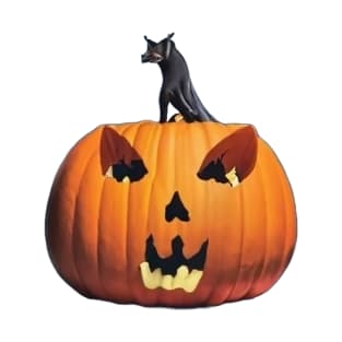 Halloween Pumpkin with Black Cat T-Shirt