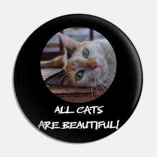 all cats are beautiful Pin