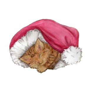 Kitten in Santa hat, with no background T-Shirt