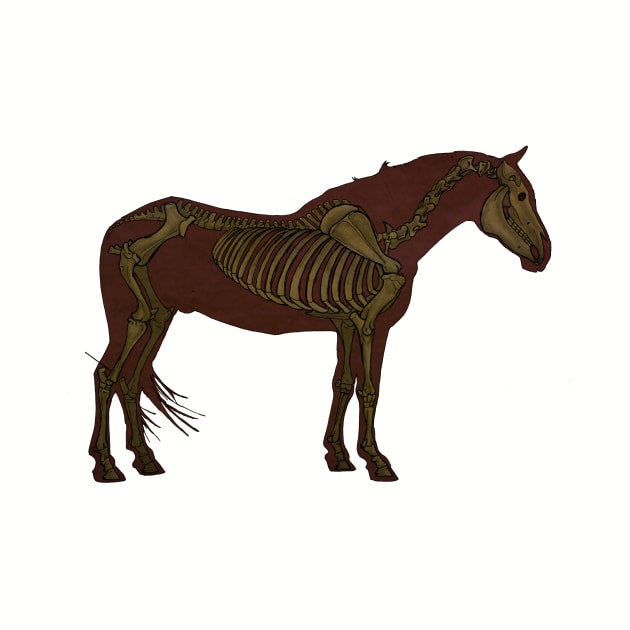 Horse Skeleton by UntidyVenus