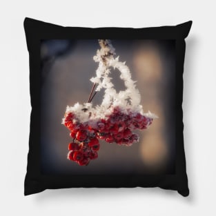 Berries in Ice Pillow