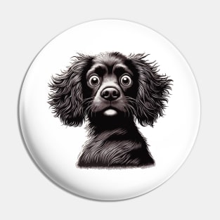 boykin spaniel confused Pin