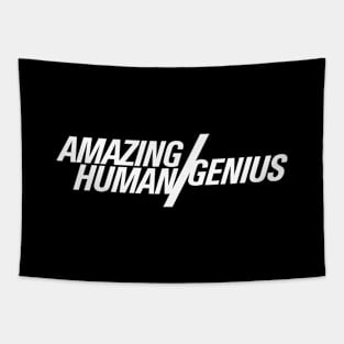 Amazing Human / genius  |  Brooklyn Nine Nine Tapestry