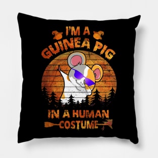 Guinea Pig Halloween Costumes (38) Pillow