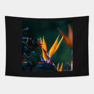 Bright Flowering Strelitzia Tapestry