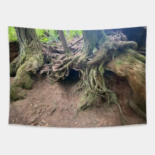 Where Hobbits Hide #2 Tapestry