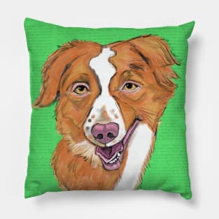 Older Brittany Spaniel Pillow