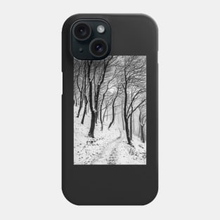 Winter Trees in Mist and Snow Phone Case