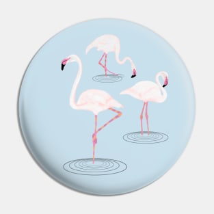 Pink Flamingos in Water Pin