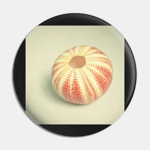 Sea Urchin Pin by Cassia