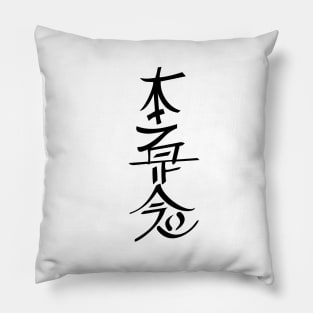 Hon Sha Ze Sho Nen Reiki Pillow