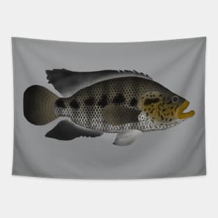 Jaguar Cichlid Tapestry