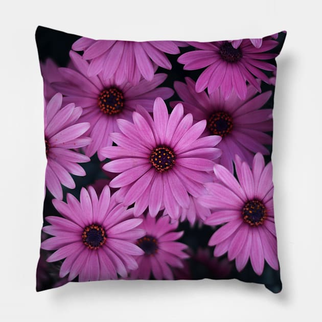 Purple Flowers Pillow by NewburyBoutique