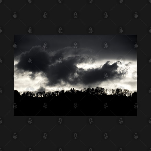 Black Forest & Clouds / Swiss Artwork Photography by RaphaelWolf