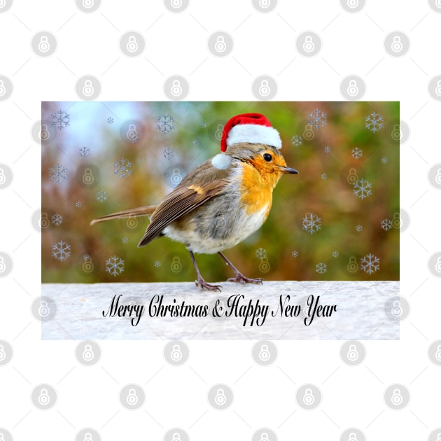 Christmas Robin by Jane Braat