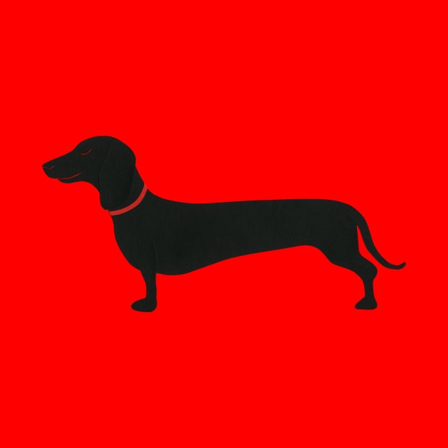 Dachshund Rosi by Rosi Feist