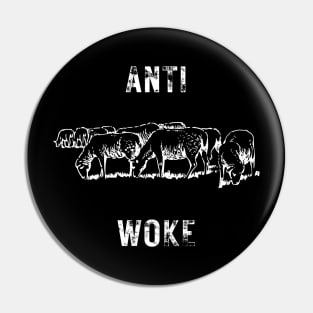 anti woke Pin