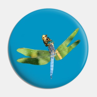 Dragonfly on a reed Pin