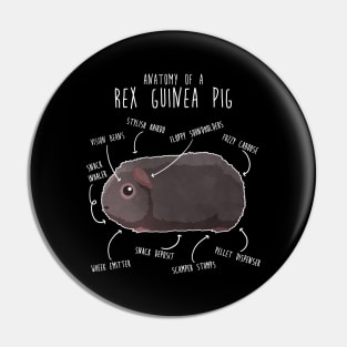 Rex Guinea Pig Anatomy Pin