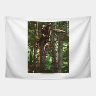 Nicholi Rogatkin Tail Whip Painting Tapestry