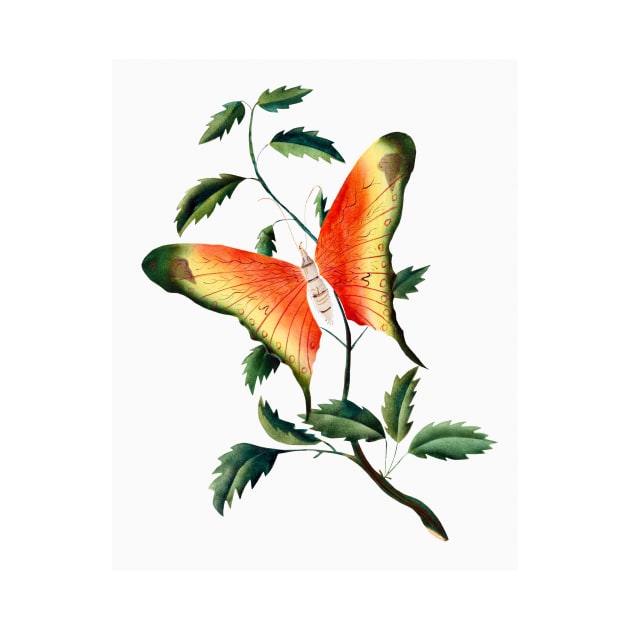 Rose Bush and Butterfly (1817–1907) by WAITE-SMITH VINTAGE ART