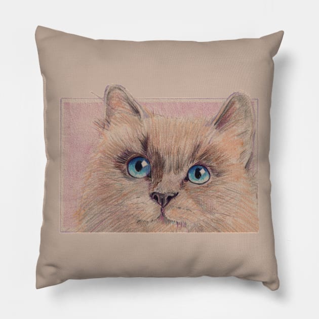 Himalayan Kitty Pillow by HelenDBVickers