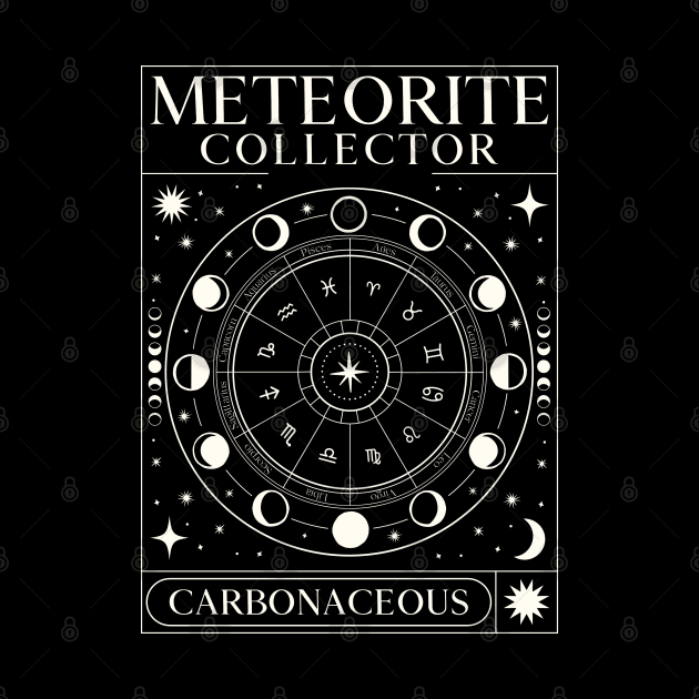 Meteorite Collector Carbonaceous Meteorite Meteorite by Meteorite Factory