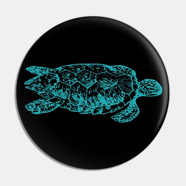 Loggerhead sea turtle Pin by Farhad