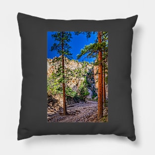 Lick Wash Trail Hike Pillow