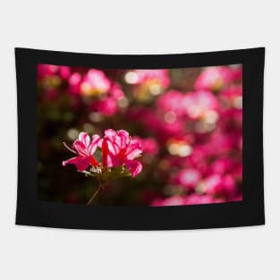 Pink Azalea Flowers Tapestry