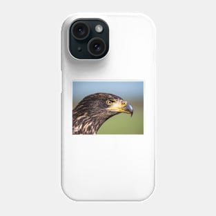 Close-up of an immature American bald eagle Phone Case