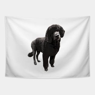 Portugese Water Dog Tapestry