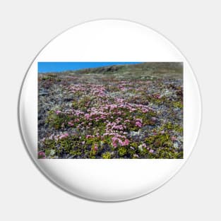Petite Flowers of the Tundra Pin