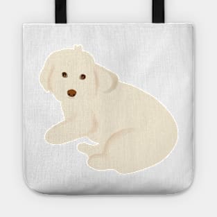 Maltipoo Dog Staring Tote