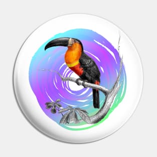 It's summer time: Toucan taxonomy design Pin