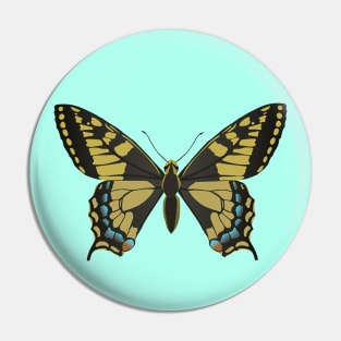 A common yellow swallowtail vector illustration Pin