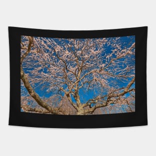 Cherry Blossom Tree Tapestry