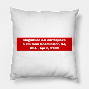 I Survived The Nyc Earthquake 2024 Pillow