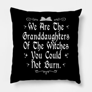 We Are The Granddaughters Of The Witches You Could Not Burn Pillow