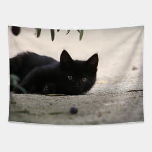 Black Kitten Playing with Black Olives Tapestry