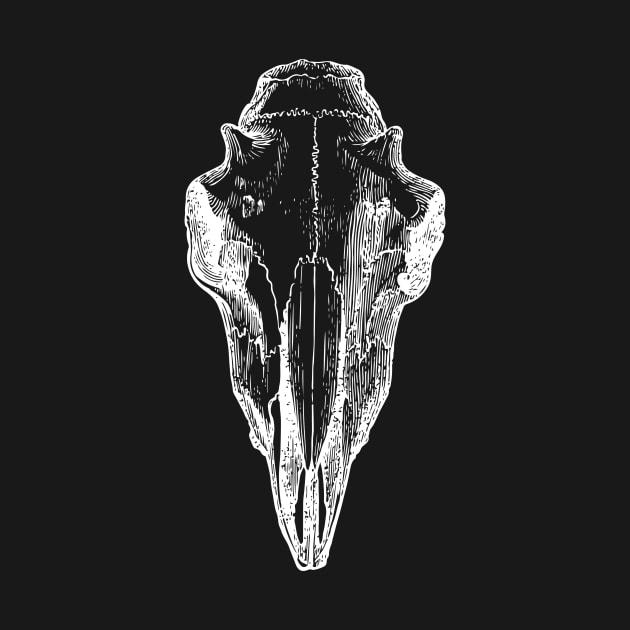 Cow Skull by tommartinart