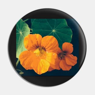 Cheerul Orange Nasturtium and the Star Leaf Pin