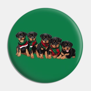 Merry Chrismutts Rottweiler Puppies Wearing Scarves Pin