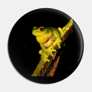 Tree Frog Pin